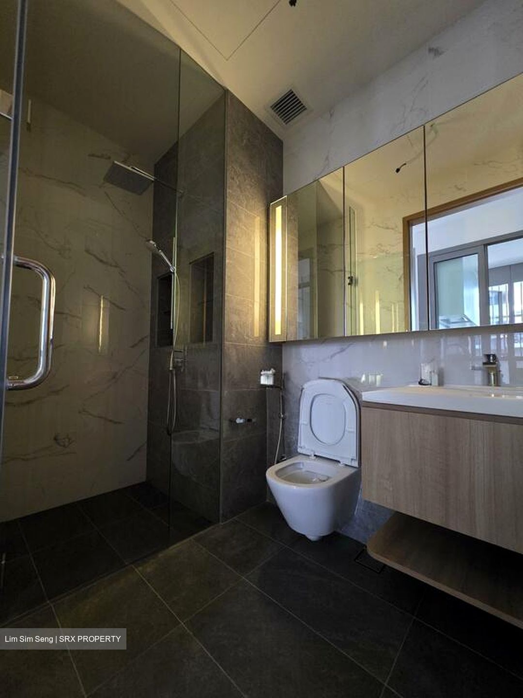 Sanctuary @ Newton (D11), Apartment #511042021